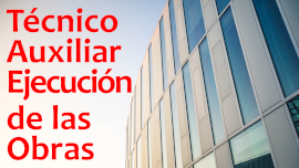 Técnico Auxiliar en la Ejecución de las Obras